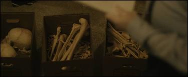 story-boxes-of-bones (1143x469, 35 k...)